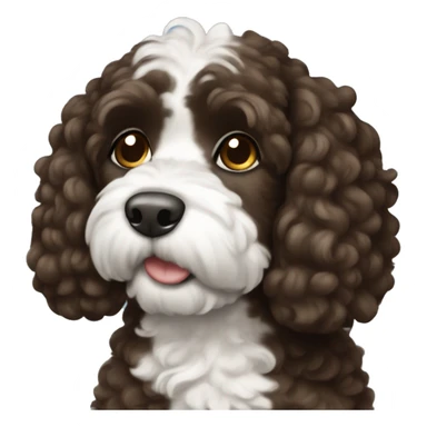 Dark brown and white cockapoo sticker