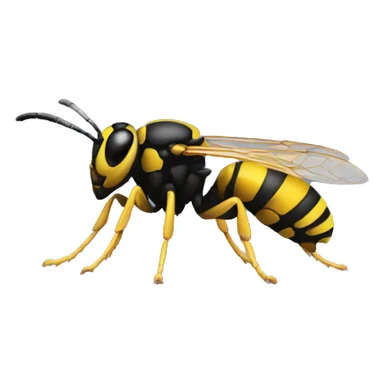 wasp sticker