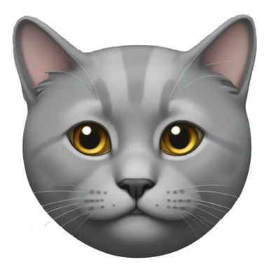 British cat grey  sticker