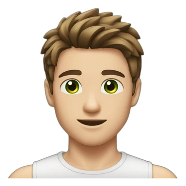 Boy, brown hair, green eyes, pretty nose, muscular body, pretty sticker