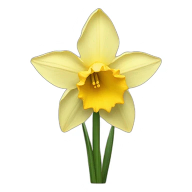 daffodil flowers sticker