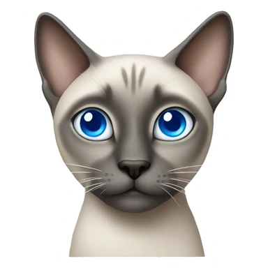 Grey Siamese cat with blue eyes sticker