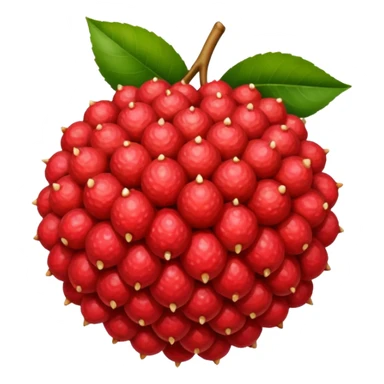 litchi fruit sticker