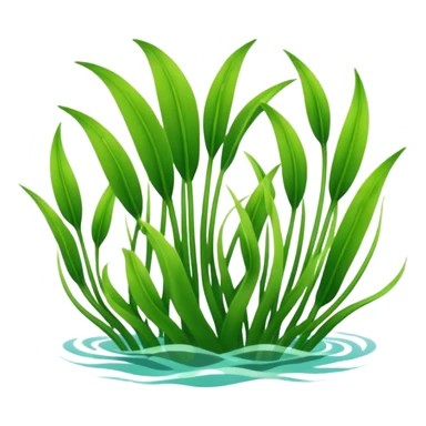 Seagrass sticker