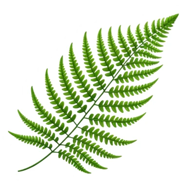 Fern leave sticker