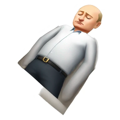 Russian president Putin sleeps in a box sticker