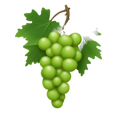 grapevine sticker