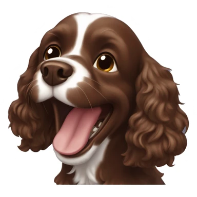 Chocolate brown cocker spaniel laughing sticker