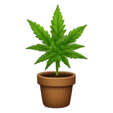 marijiuana plant sticker