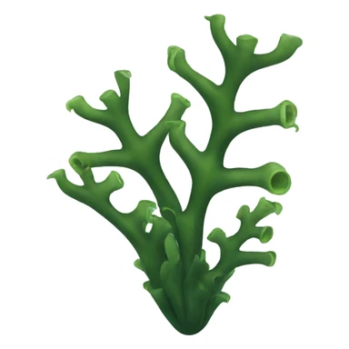Kelp  sticker