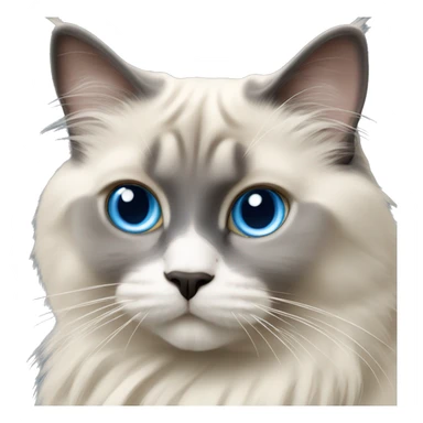 blue mitted ragdoll cat sticker