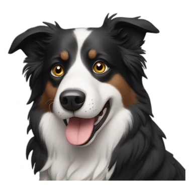 Border collie with a mole on the snout sticker