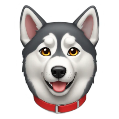 Husky with a red collar sticker