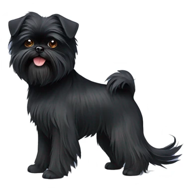 Affenpinscher
 sticker