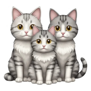 a fluffy grey and white cat sitting with 2 other cats sticker