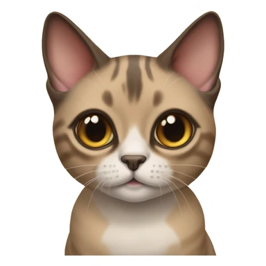 Sphinx and munchkin cat mix sticker