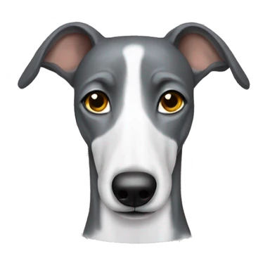 dog greyhound in shirt sticker