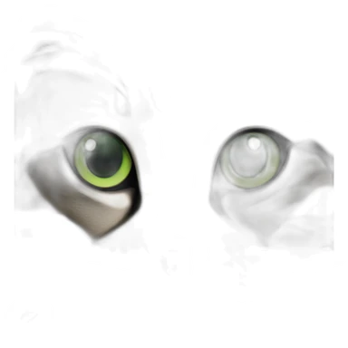 Dark Brown and white tabby cat with green eyes sticker