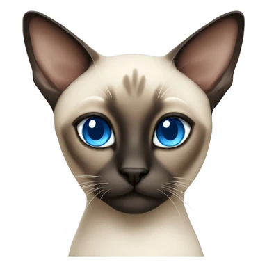 Siamese cat with blue eyes sticker