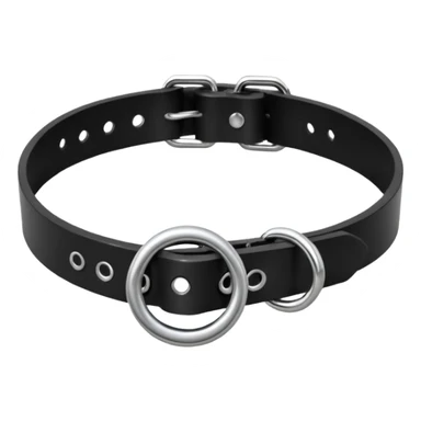 Collar – black leather with silver O-ring. sticker