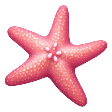 Pink starfish sticker