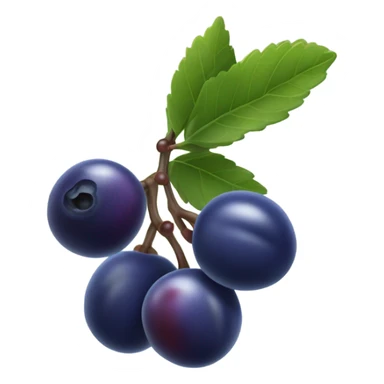 Huckleberry fruit sticker