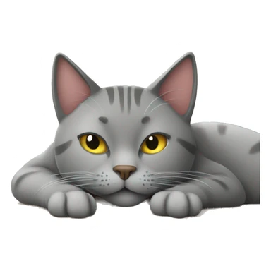 gray cat sleeping tummy up on desk sticker