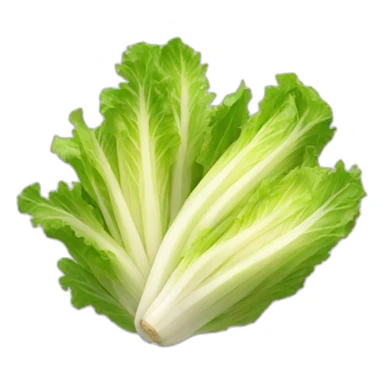 endive salad sticker