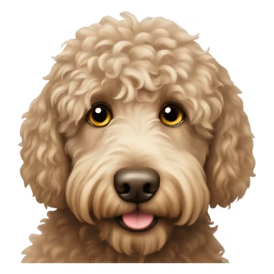 Australian Labradoodle  sticker