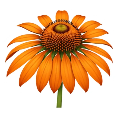 Amazing. What about orange echinacea? sticker