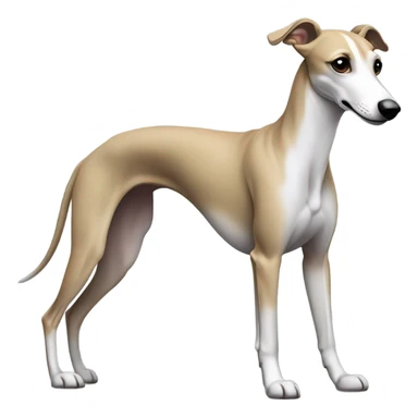 Whippet sticker