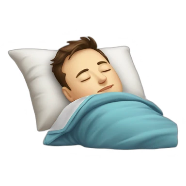 Elon musk sleeping sticker