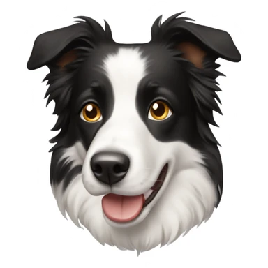 Persona con un border collie sticker