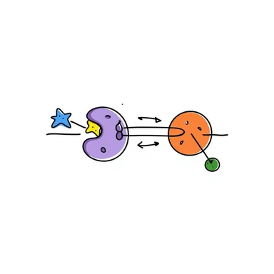 Hormone action diagram: blue starred hormone molecule binding to yellow receptor on purple cell membrane, triggering green signaling cascade inside orange cell. Hand-drawn anatomical illustration with arrows showing signal pathway and resulting cellular changes. sticker