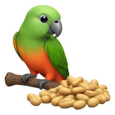 Red bellied parrot eating a peanut sticker