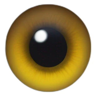 A human iris sticker