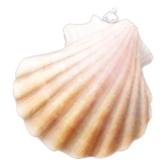 Pink and white seashell layer necklace  sticker