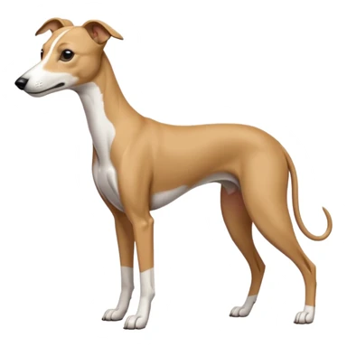 Whippet sticker