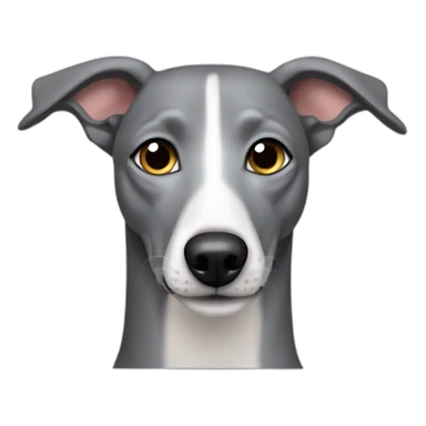 gray italian piccolo greyhound dog sticker