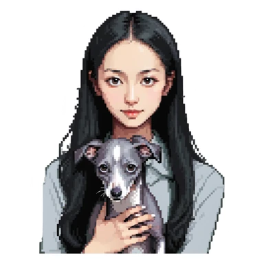 Slim Chinese girl with long black hair holding solid grey Italian greyhound with no white markings on nose sticker