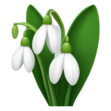 Snowdrop flowers sticker