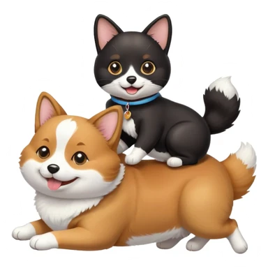 Black ￼ cat riding a corgi ￼ sticker
