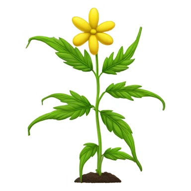 Sunn Hemp plant  sticker