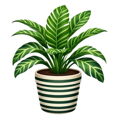 potted house plant, calathea zebrina sticker