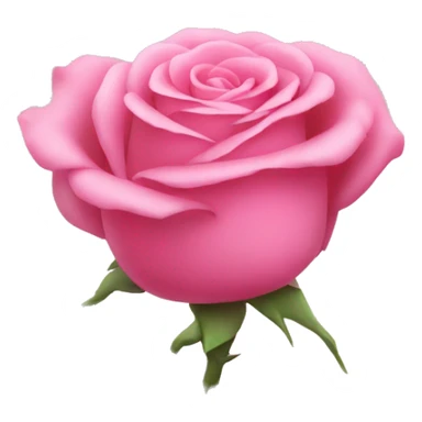 Pink roses sticker
