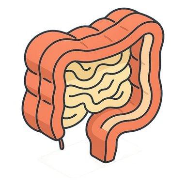 cross-section of intestine, 2D isometric style, minimalist background, soft shadows and highlights, transparent background sticker