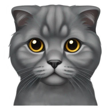 all dark grey Scottish Fold Cat long hair　fold ear sticker