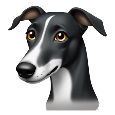Black and white greyhound with brown eyes and half her face black  sticker