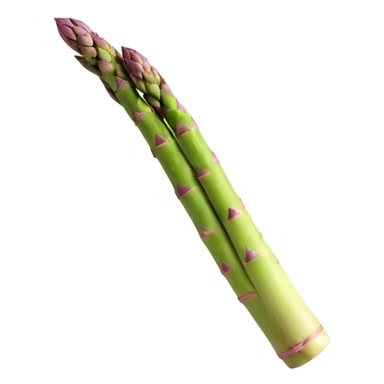 realistic fresh asparagus without eyes, nose, or mouth sticker