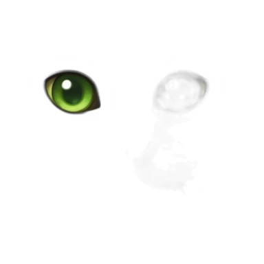 british shorthair cat with green eyes sticker